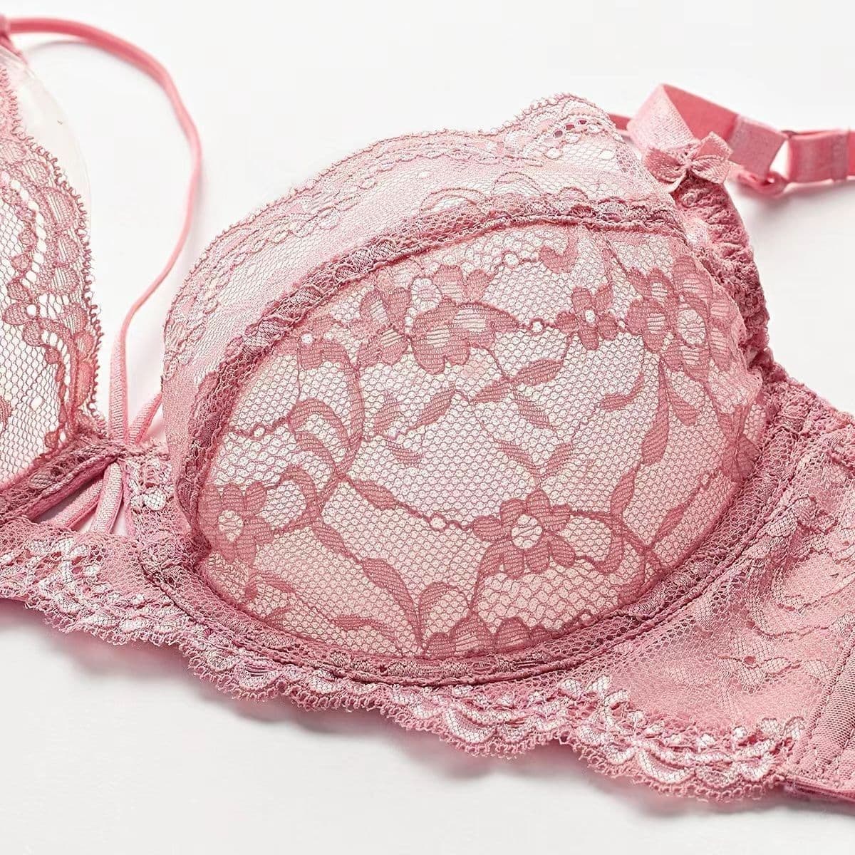 Sheer Lace Transparent Bra and Panty Set