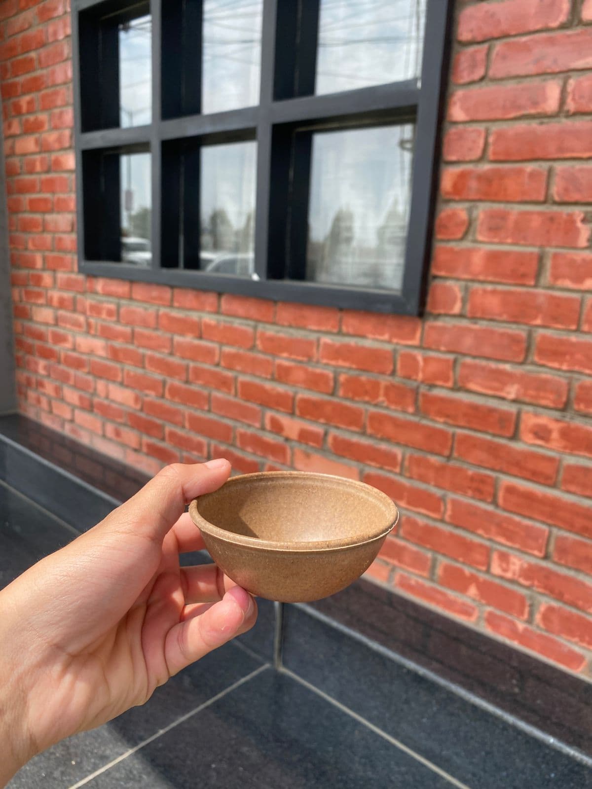 Eco-Friendly Rice Husk Bowl | Sustainable, Microwave & Dishwasher Safe Serving Bowl