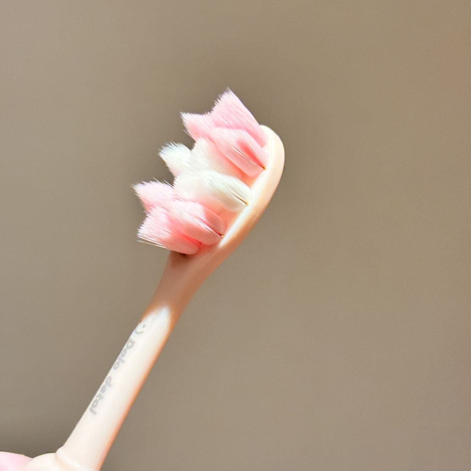 Soft Bristle Antibacterial Fine Bristle Toothbrush with Bow Design
