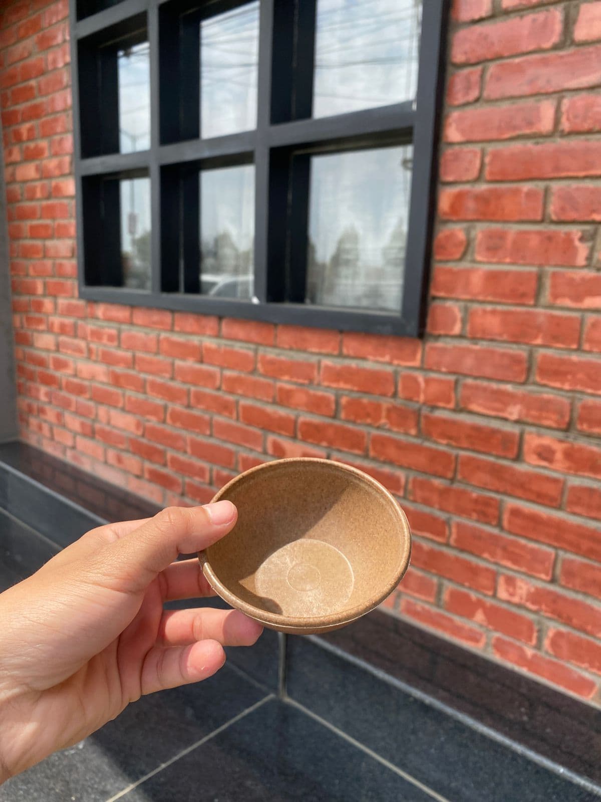 Eco-Friendly Rice Husk Bowl | Sustainable, Microwave & Dishwasher Safe Serving Bowl