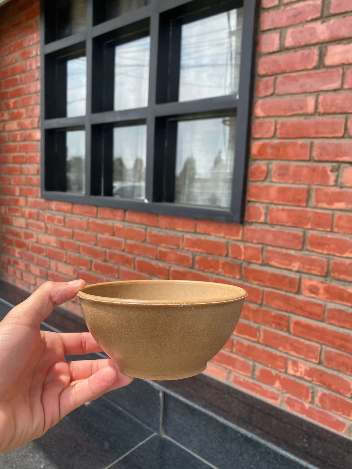 Eco-Friendly Rice Husk Bowl | Sustainable, Microwave & Dishwasher Safe Serving Bowl