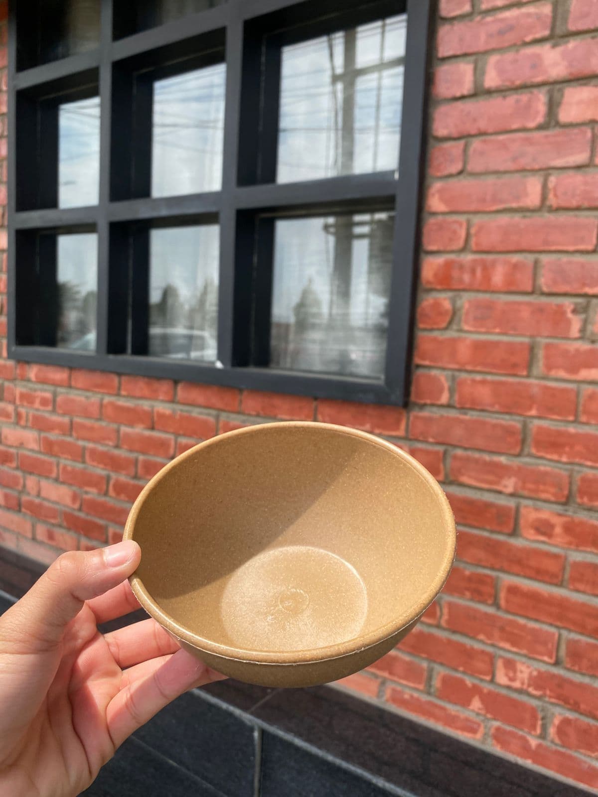 Eco-Friendly Rice Husk Bowl | Sustainable, Microwave & Dishwasher Safe Serving Bowl