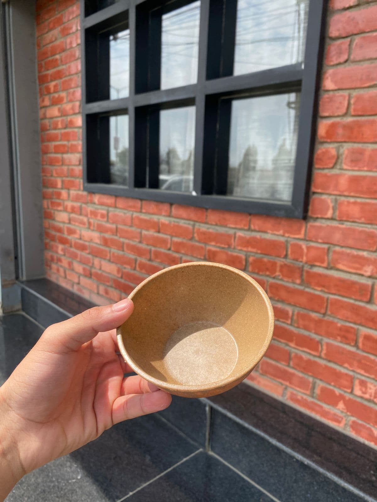 Eco-Friendly Rice Husk Bowl | Sustainable, Microwave & Dishwasher Safe Serving Bowl